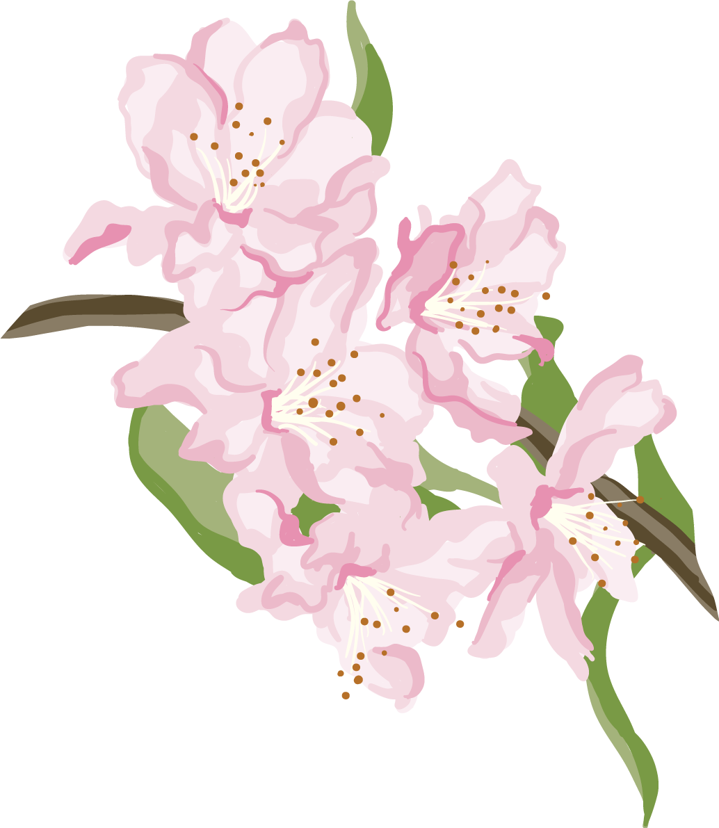 リアルタッチ枝付き葉桜 イラスト無料 フリー88476に写真・文字を入れる