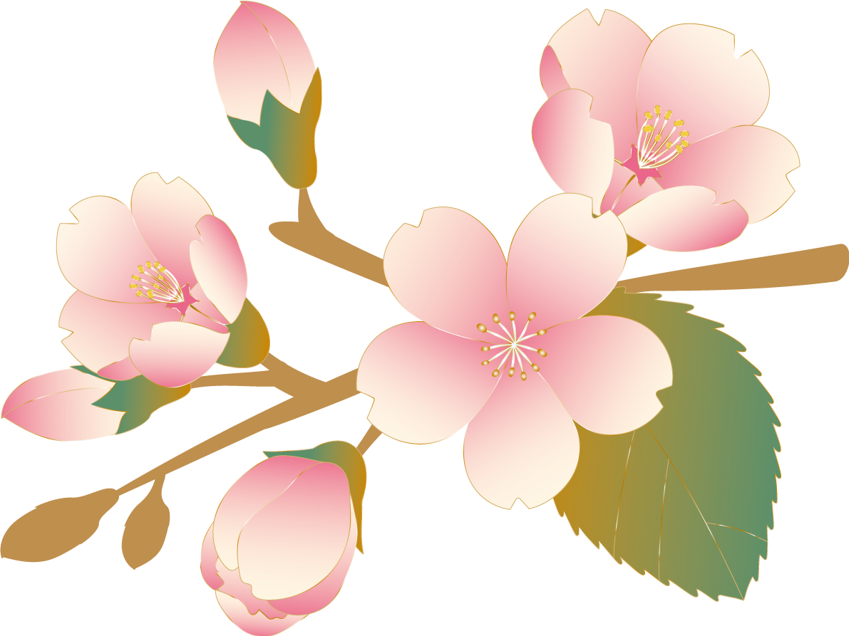 桜 蕾  イラスト無料 フリー88624に写真・文字を入れる