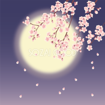 月と夜桜 背景イラスト無料 フリー88629