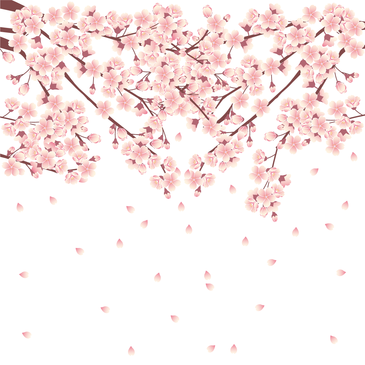 桜背景透過・リアル調 背景イラスト無料 フリー88630に写真・文字を入れる