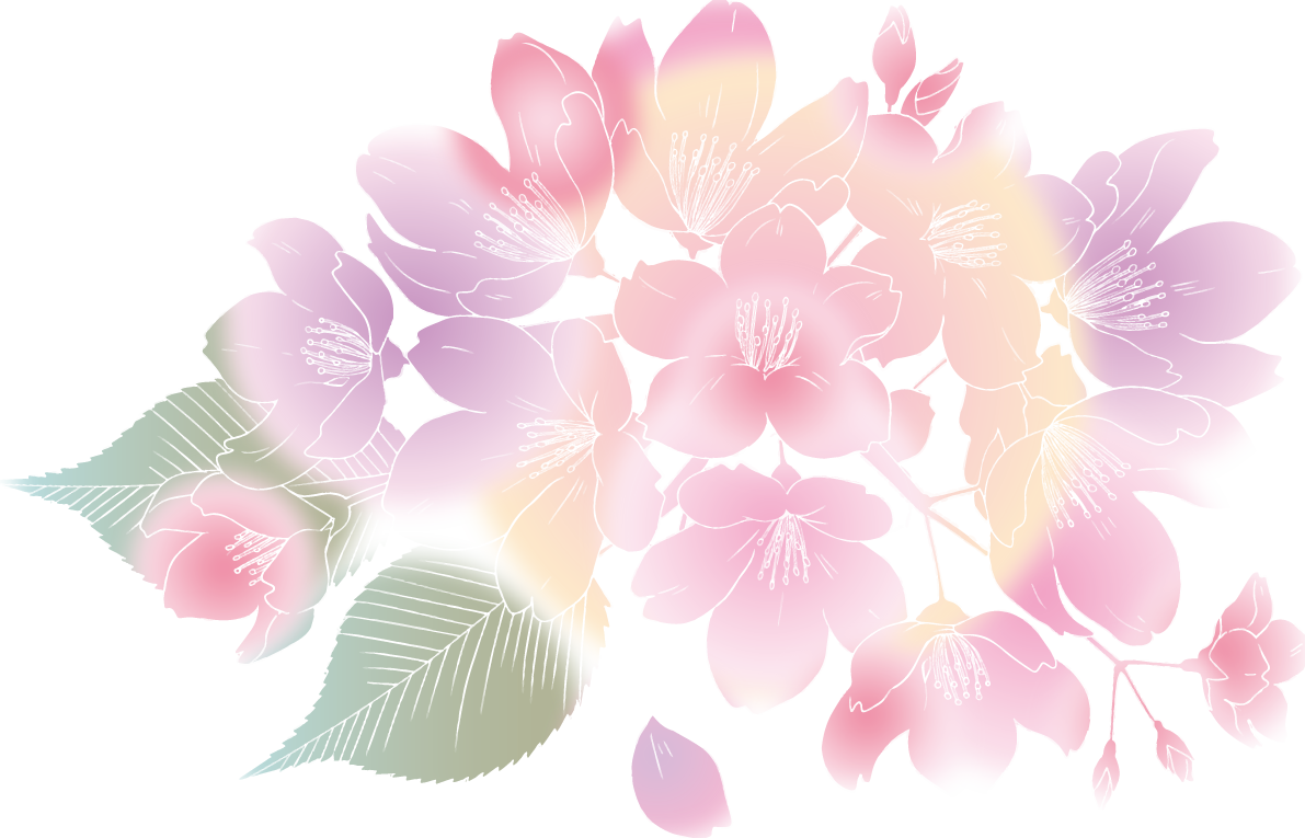 線画・ふんわり綺麗 桜イラスト無料 フリー88644に写真・文字を入れる