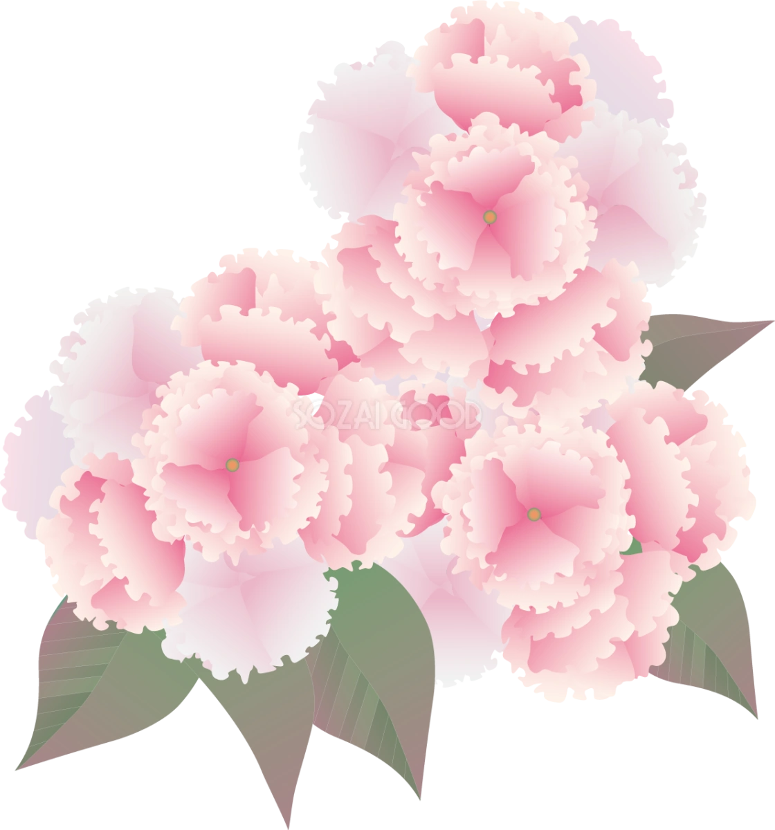 八重桜イラスト無料 フリー88646