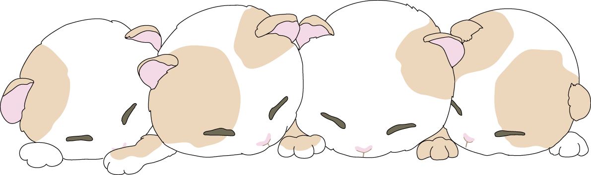 ４匹 かわいい猫イラスト無料 フリー88709に写真・文字を入れる