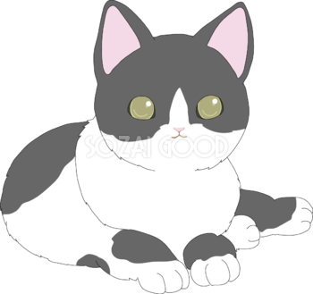 黒ブチ かわいい猫イラスト無料 フリー88737