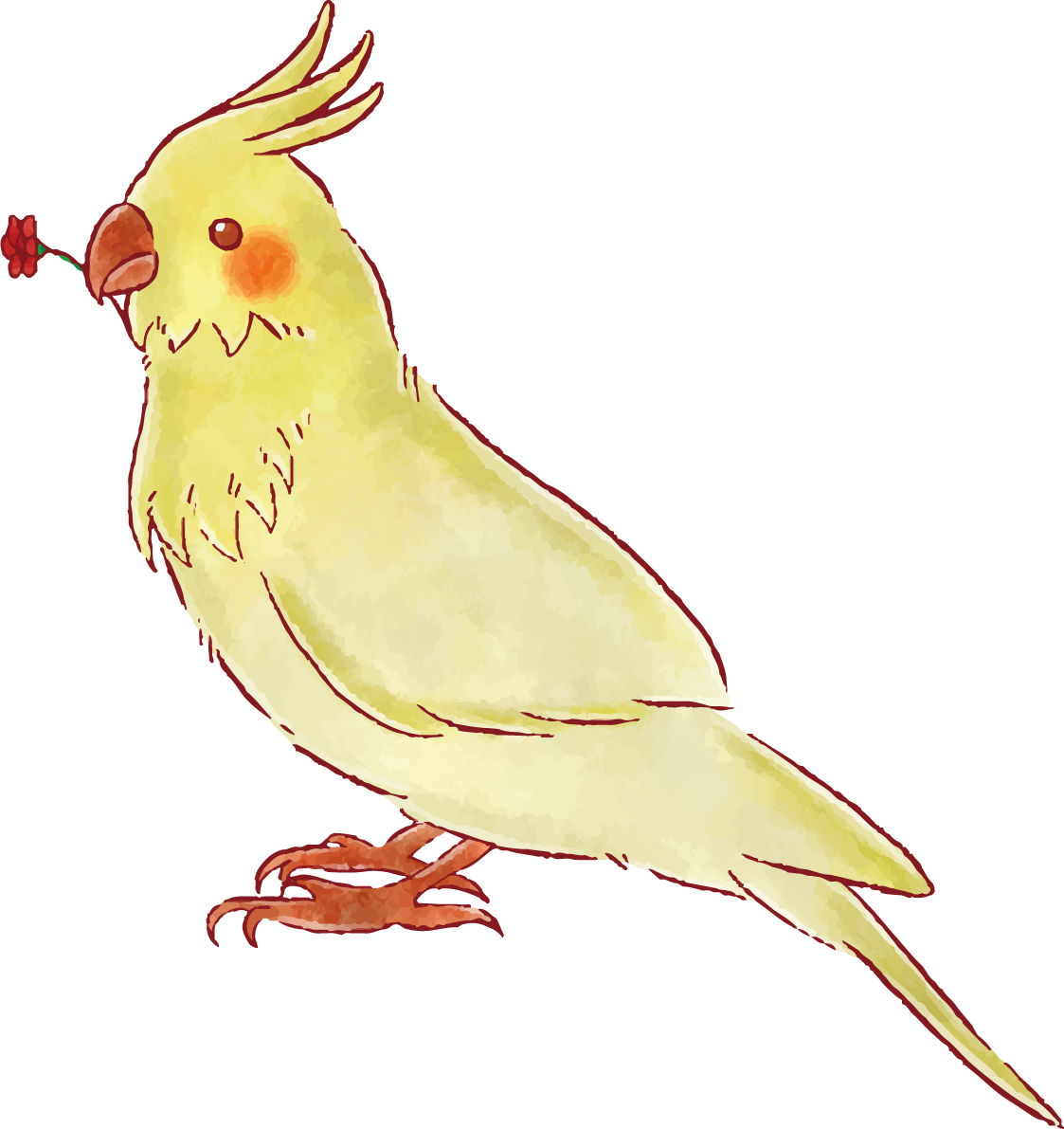 インコ かわいい イラスト無料 フリー88864に写真・文字を入れる