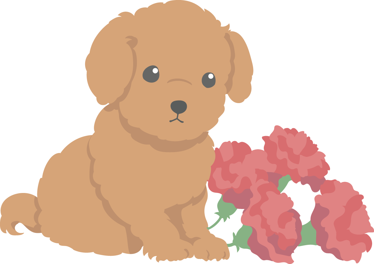 母の日 カーネーション 犬(プードル) かわいい イラスト無料 フリー88967に写真・文字を入れる