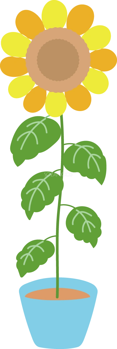 ひまわり かわいい 鉢植え イラスト無料 フリー89206