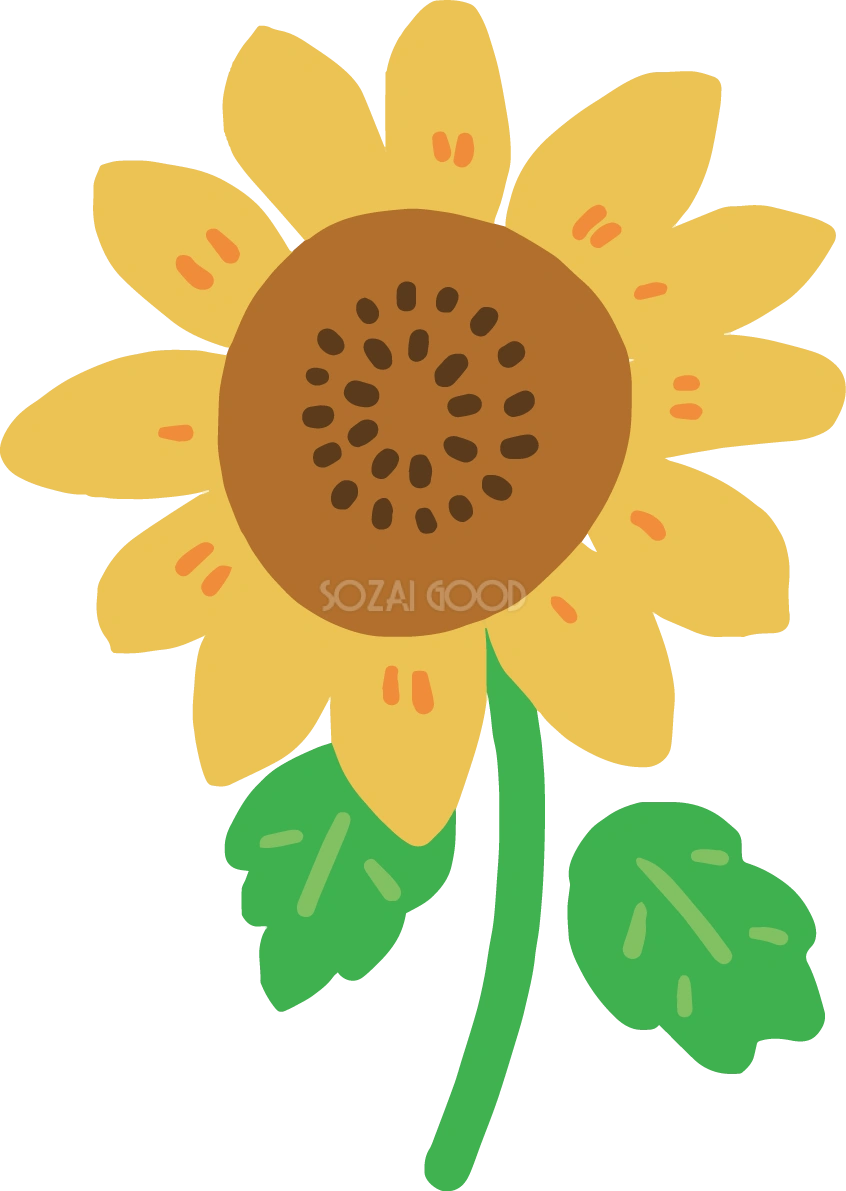 ひまわり かわいい イラスト無料 フリー89346