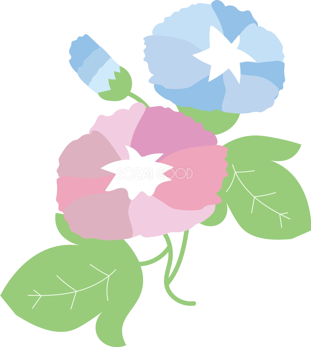朝顔 かわいい くすみカラー イラスト無料 フリー89582