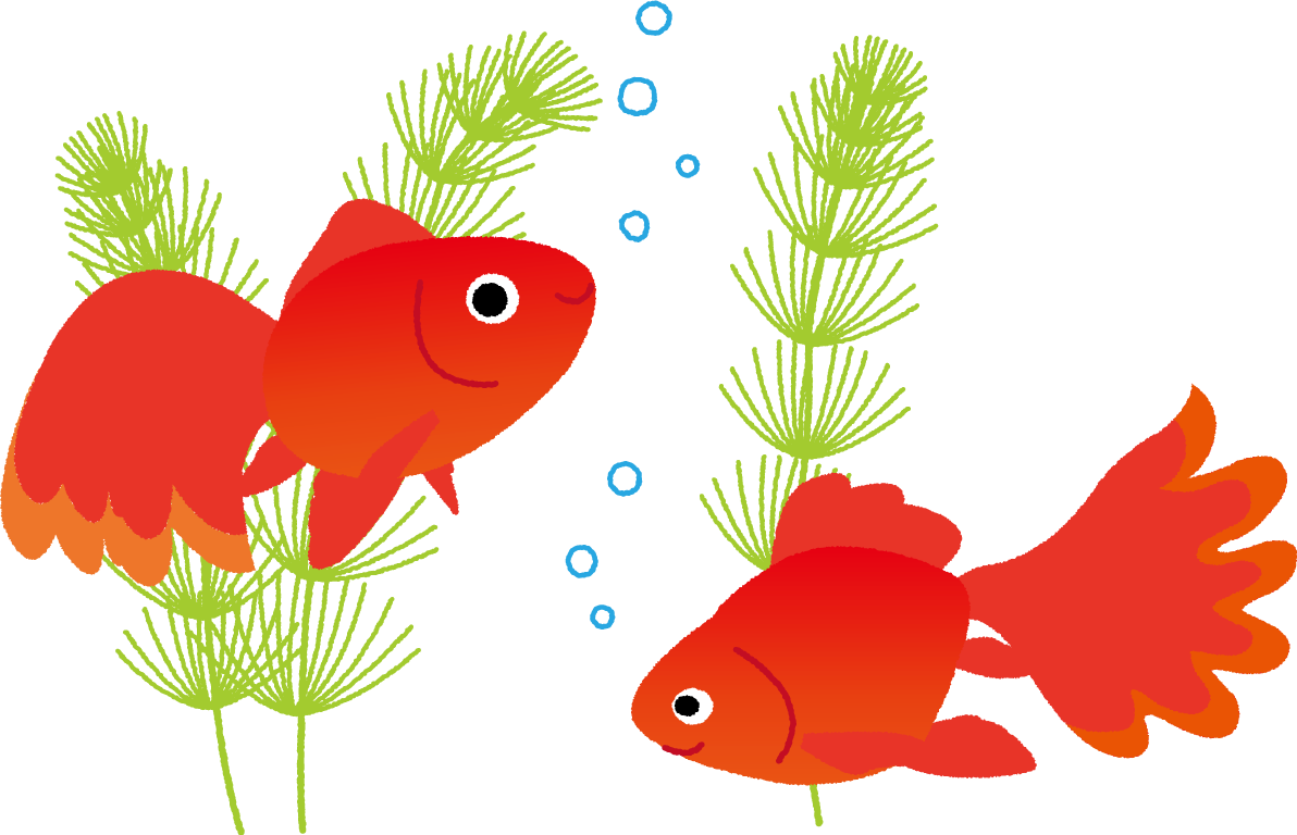 金魚 かわいい 横 イラスト無料 フリー89691に写真・文字を入れる