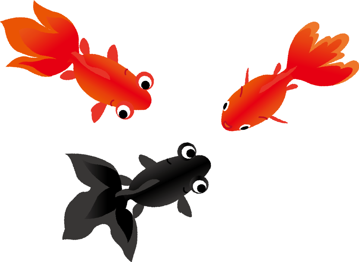 金魚 かわいい 上から イラスト無料 フリー89693に写真・文字を入れる
