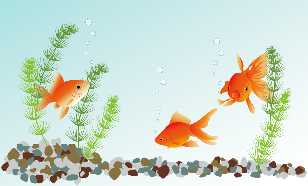 金魚 リアル 背景 イラスト無料 フリー89706に写真・文字を入れる