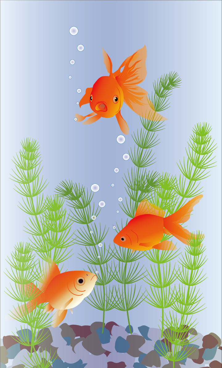 金魚 リアル 背景 イラスト無料 フリー89707に写真・文字を入れる
