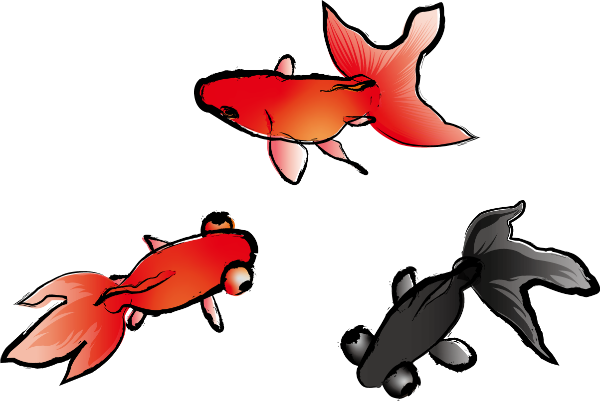 金魚 和風 上から イラスト無料 フリー89712に写真・文字を入れる