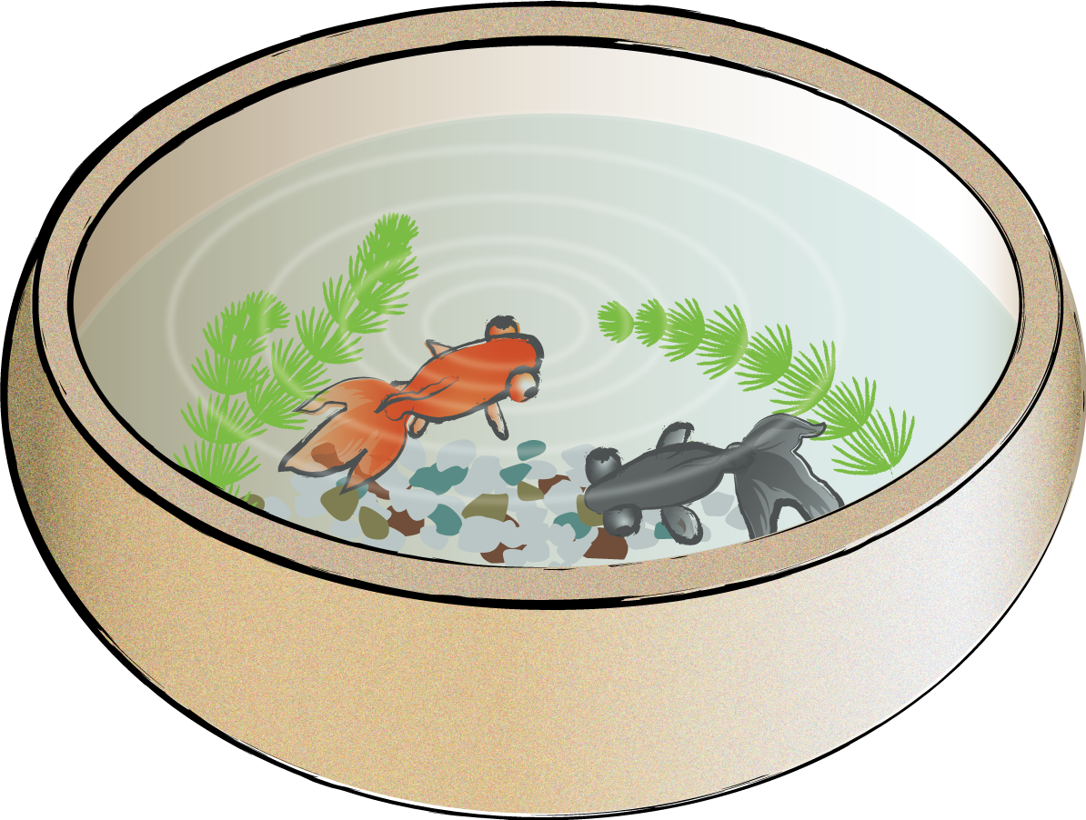 金魚 和風 波紋  鉢 イラスト無料 フリー89714に写真・文字を入れる