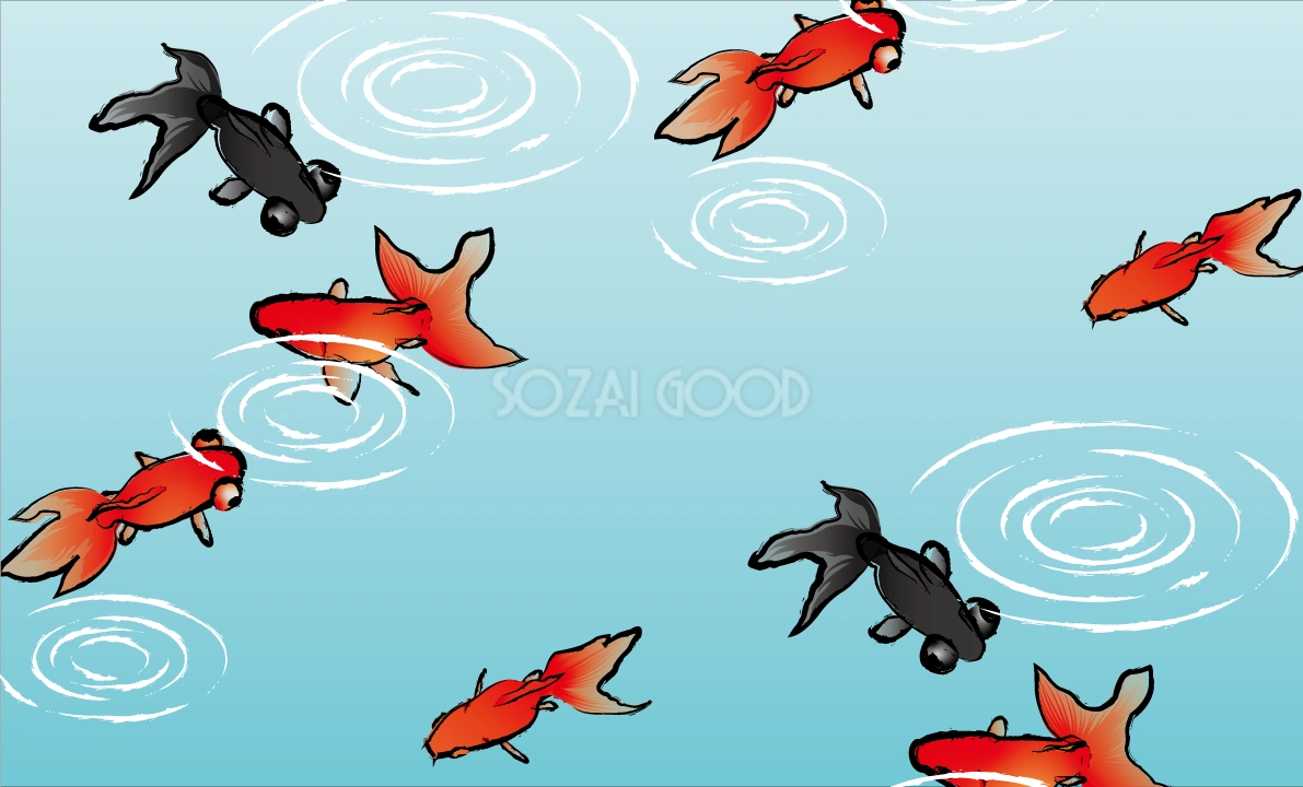 金魚 和風 背景 イラスト無料 フリー89716