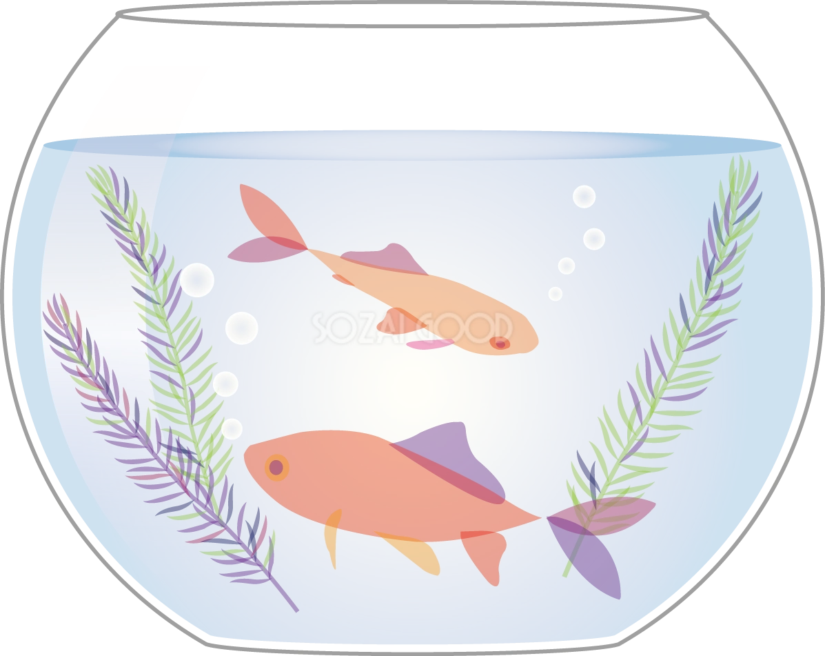 金魚 綺麗 鉢 イラスト無料 フリー89728