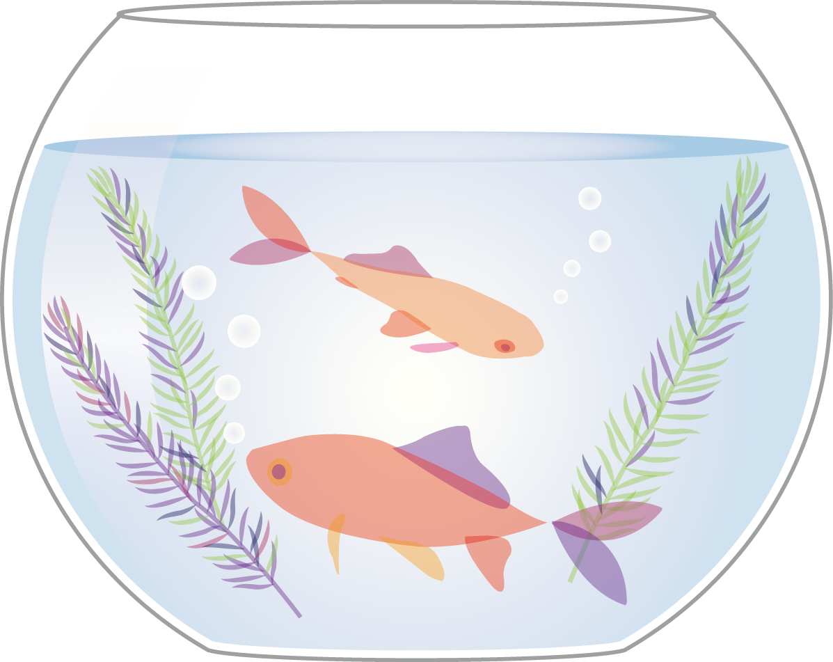 金魚 綺麗 鉢 イラスト無料 フリー89728に写真・文字を入れる