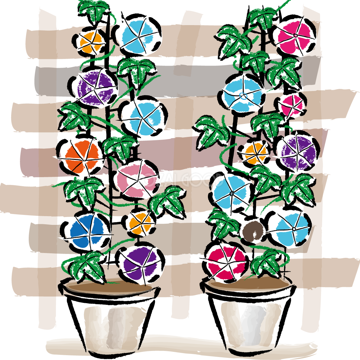 朝顔 壁の鉢植えイラスト無料 フリー89743