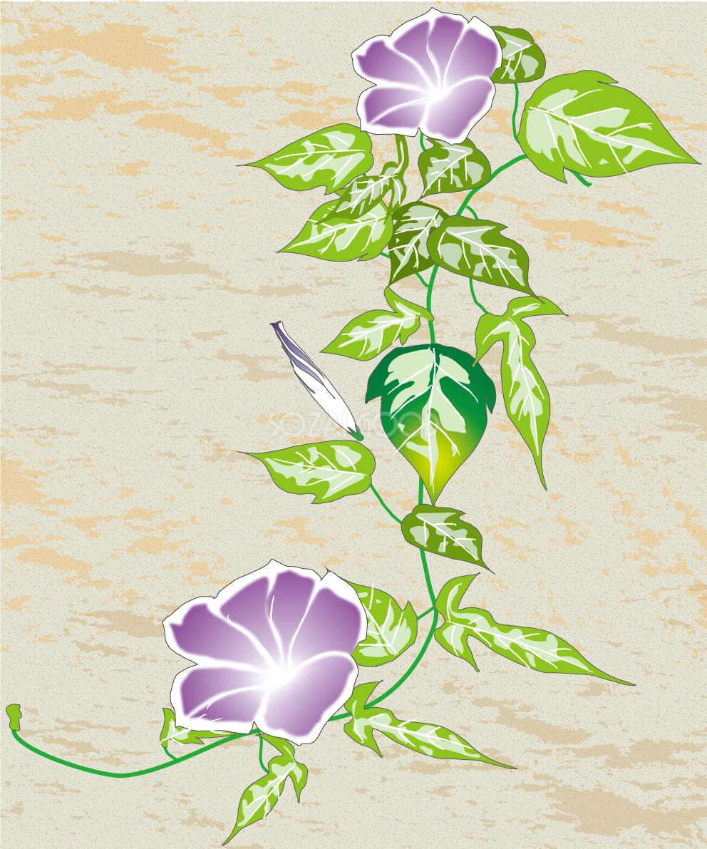 朝顔 和風 背景イラスト無料 フリー89746