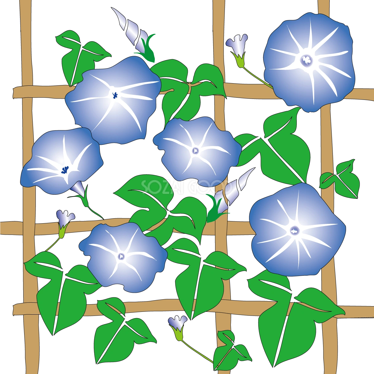 朝顔 垣根イラスト無料 フリー89756