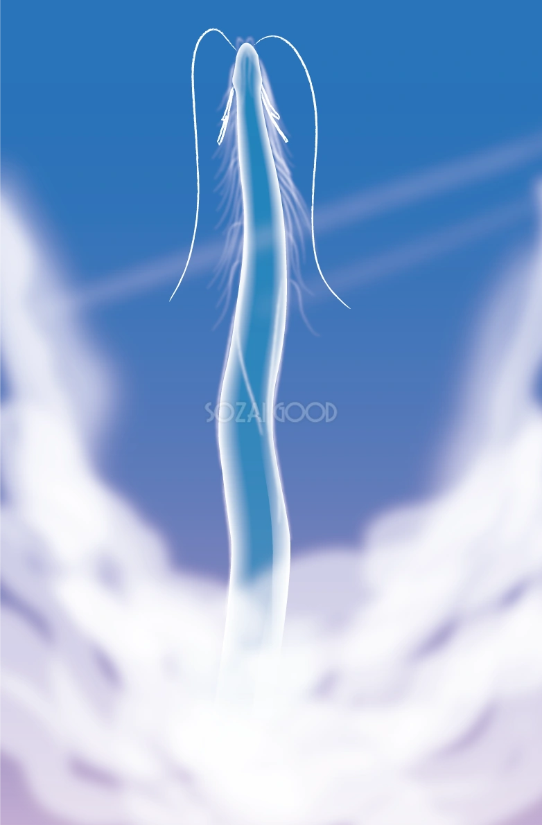 かっこいい龍 空飛ぶ幻想的 2024 辰年イラスト無料 フリー89782