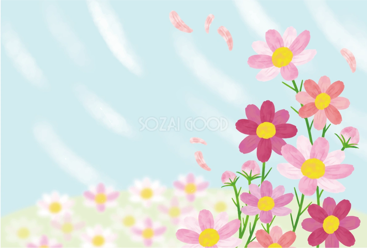 コスモス畑 秋 空 かわいい 背景 イラスト無料 フリー89820