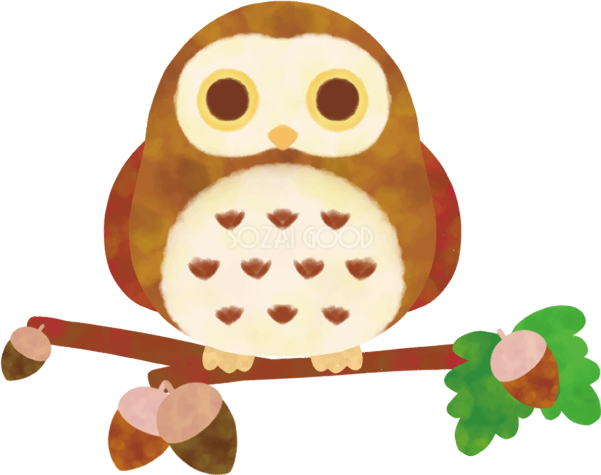 どんぐり 秋 ふくろう かわいい イラスト無料 フリー89833