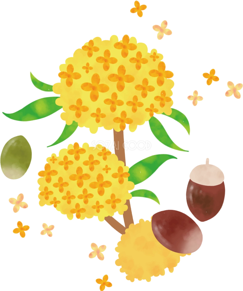 どんぐり 秋 金木犀 かわいい イラスト無料 フリー89837