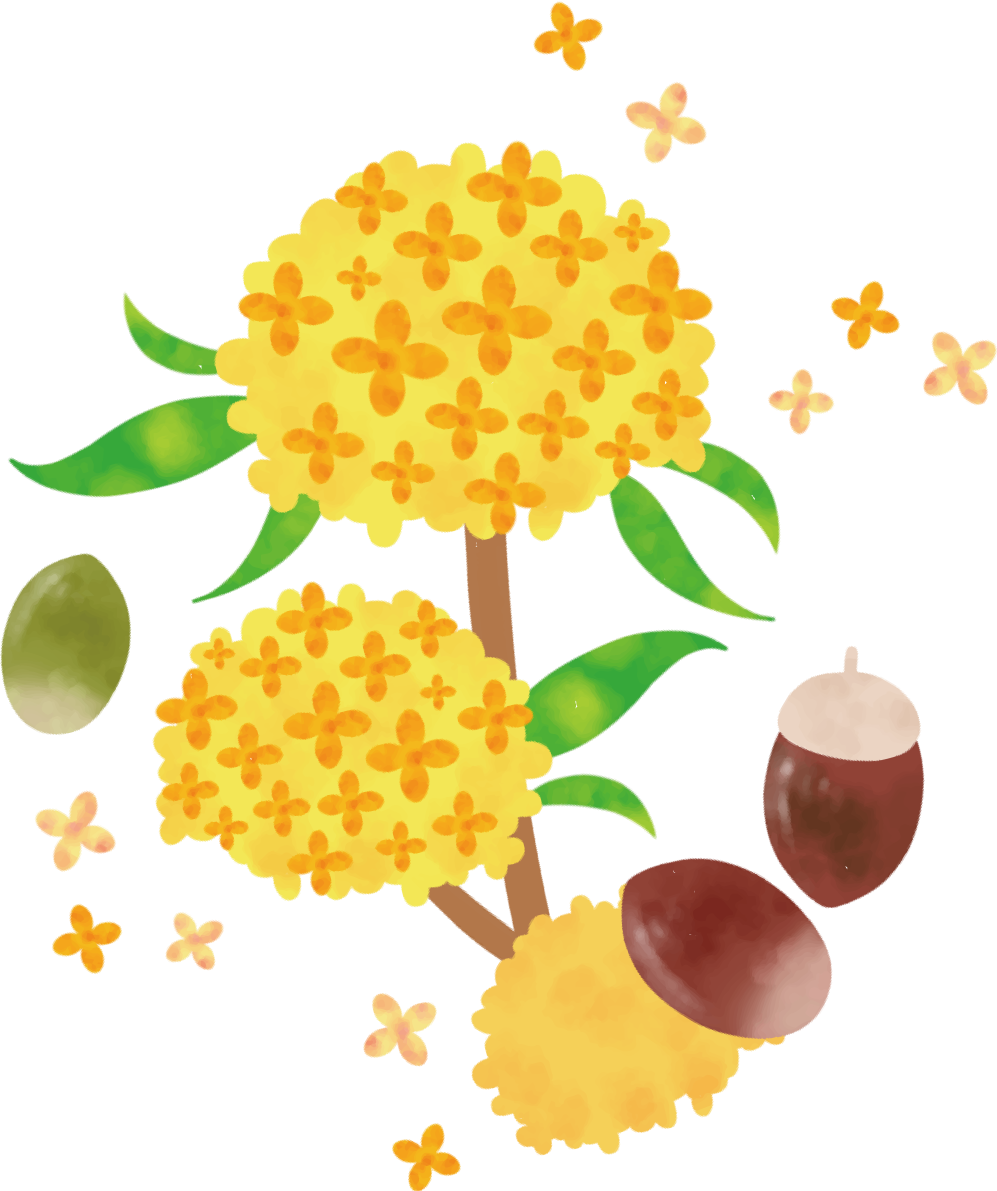 どんぐり 秋 金木犀 かわいい イラスト無料 フリー89837に写真・文字を入れる