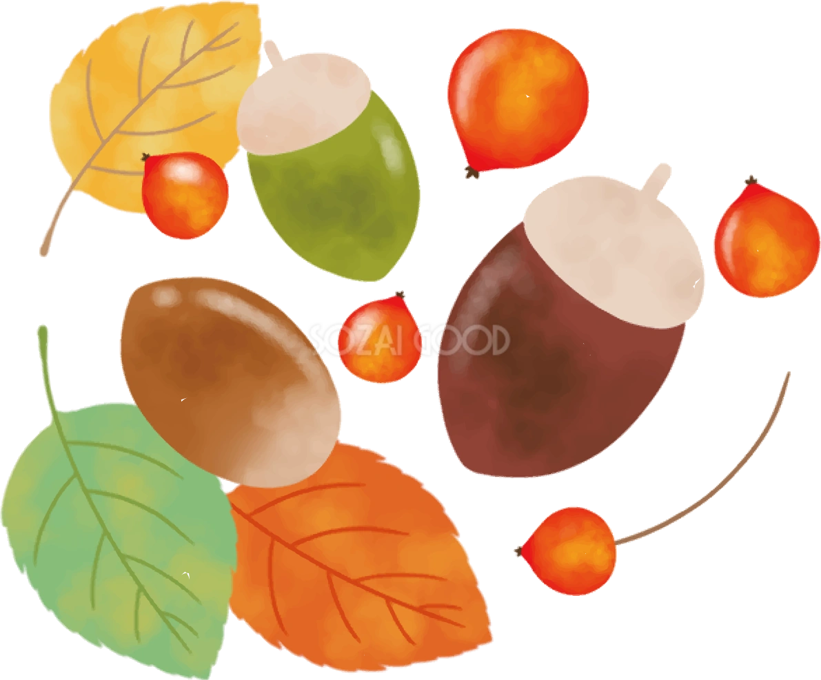 どんぐり 秋 紅葉 イラスト無料 フリー89838