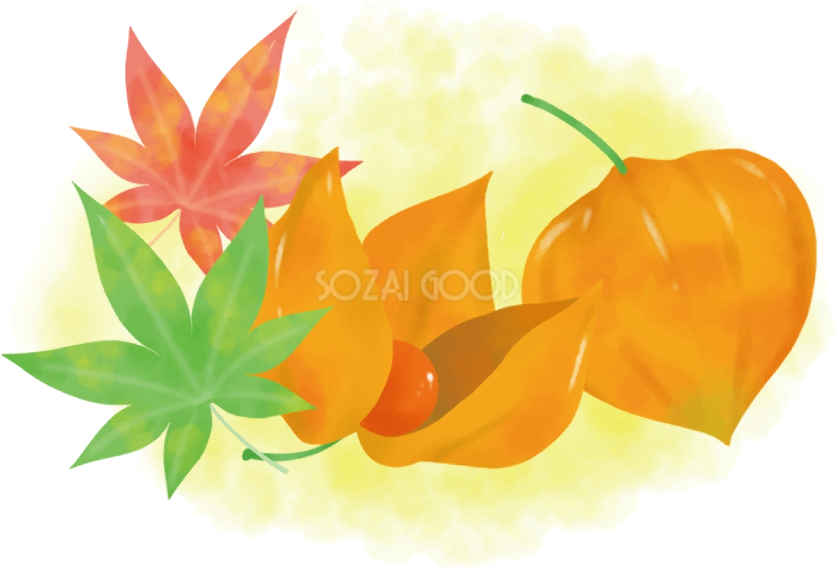 紅葉(もみじ) 秋 ほおずき イラスト無料 フリー89845