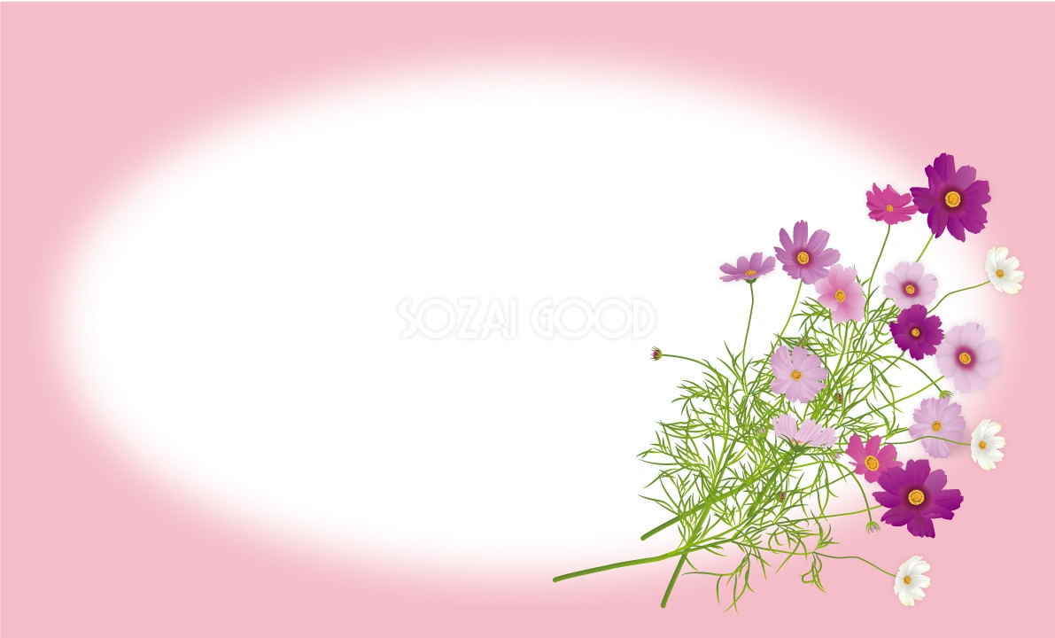 コスモス 秋 綺麗 フレーム枠 イラスト無料 フリー89875