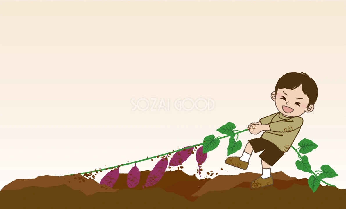 秋背景 かわいい いもほり 男の子 イラスト無料 フリー89891