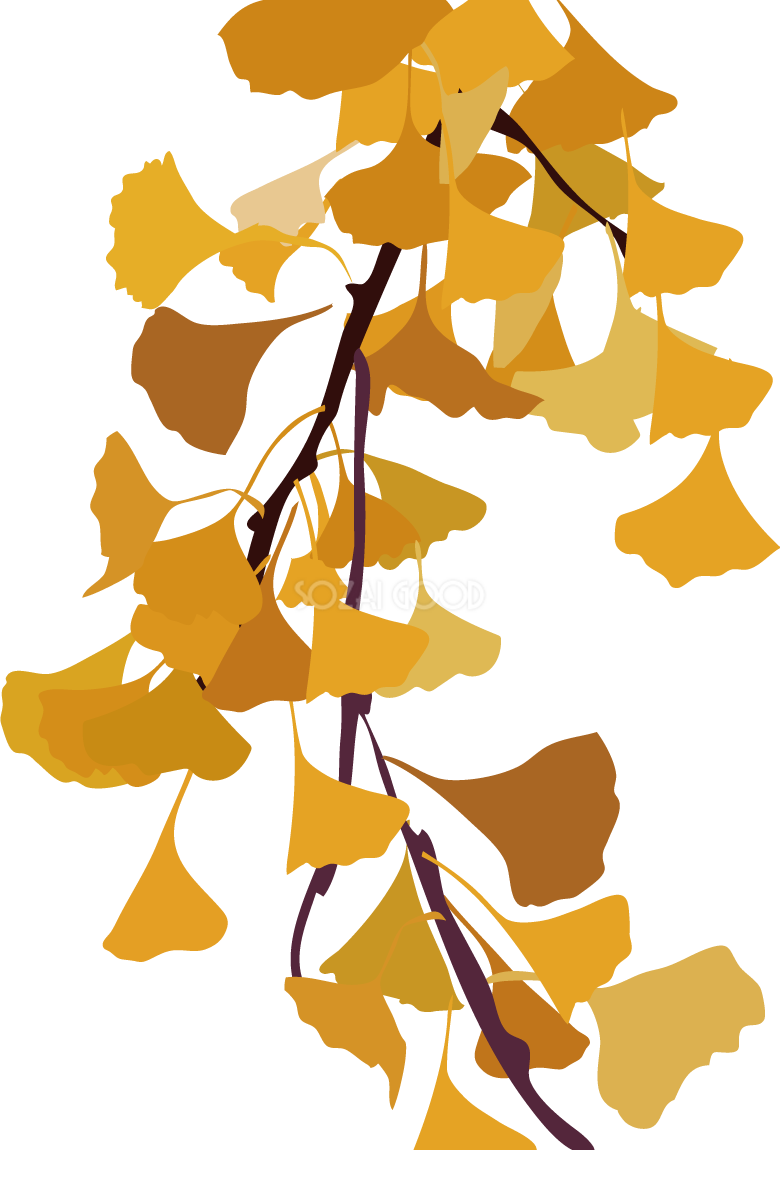 紅葉 秋 イチョウイラスト無料 フリー89917
