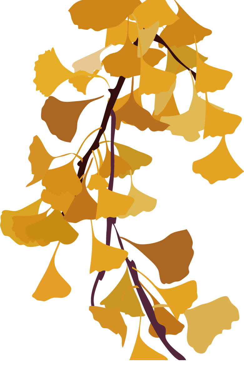 紅葉 秋 イチョウイラスト無料 フリー89917に写真・文字を入れる