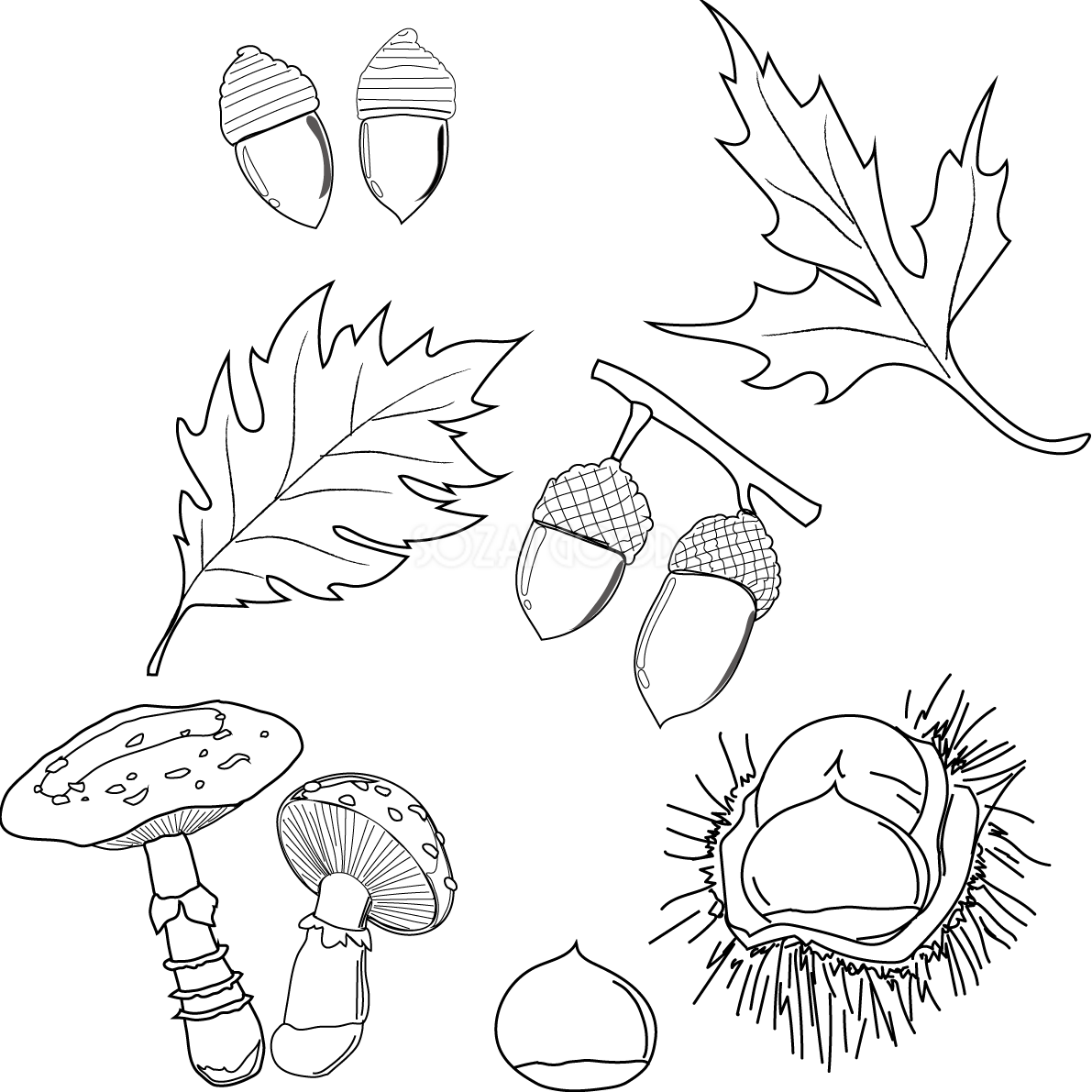紅葉 秋 塗り絵 どんぐり もみじ 栗 イラスト無料 フリー89920