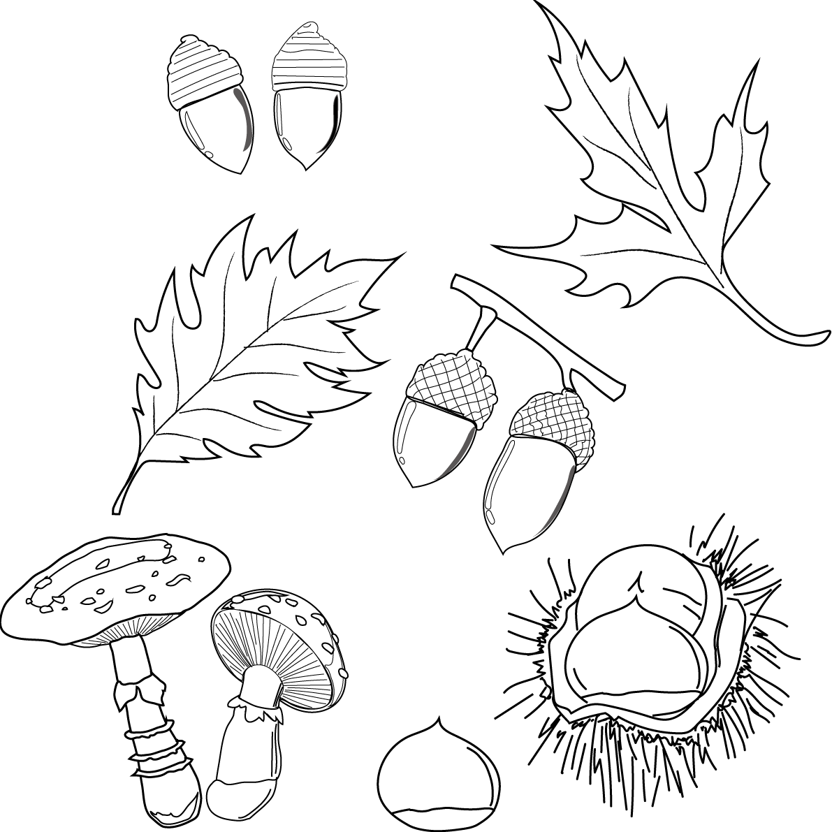 紅葉 秋 塗り絵 どんぐり もみじ 栗 イラスト無料 フリー89920に写真・文字を入れる