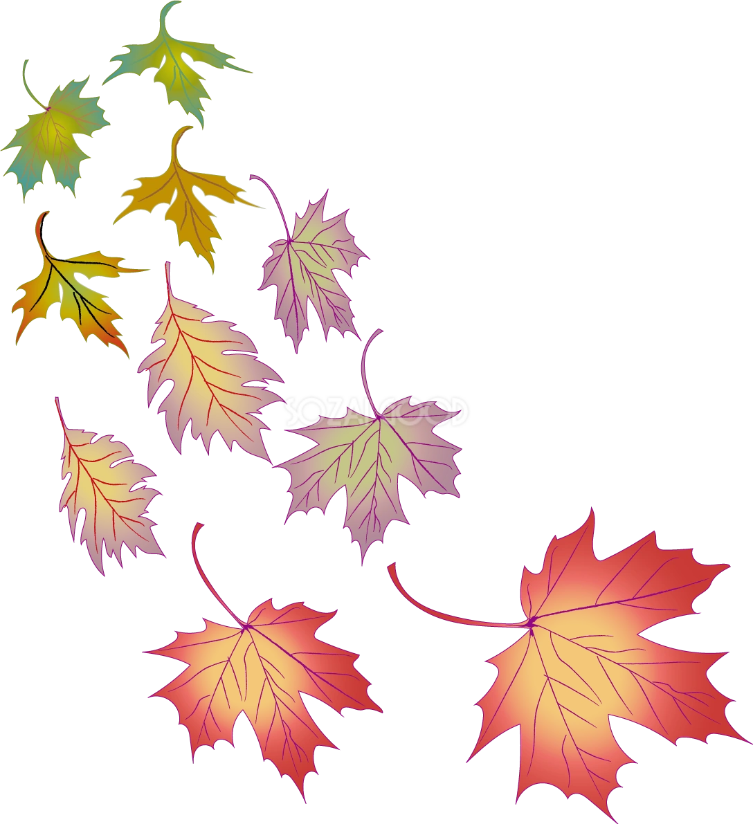 紅葉 秋 楓イラスト無料 フリー89921