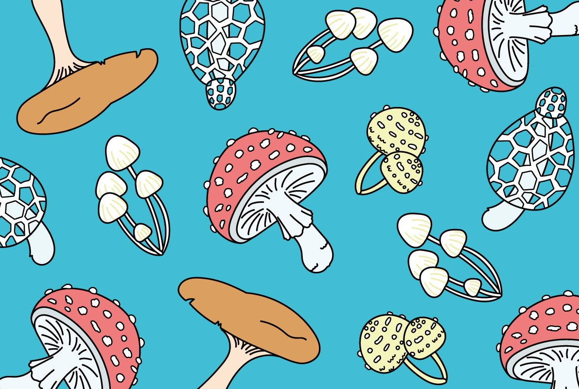 きのこ 秋 背景かわいい イラスト無料 フリー89961に写真・文字を入れる