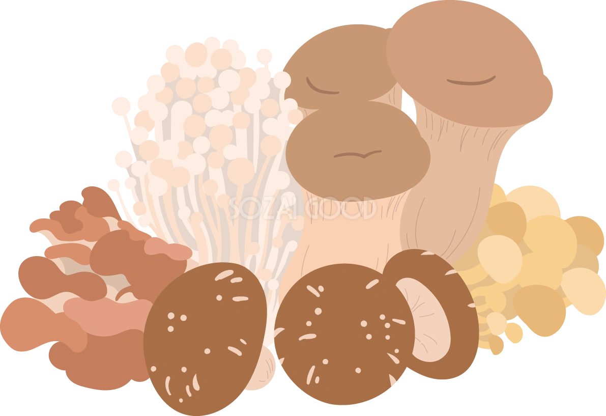 きのこ 秋 食用 イラスト無料 フリー89967