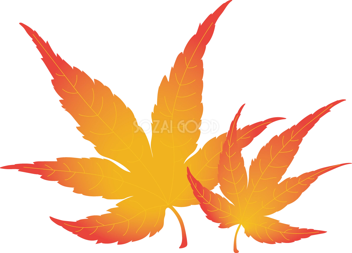 紅葉(もみじ) 秋 リアル イラスト無料 フリー89994