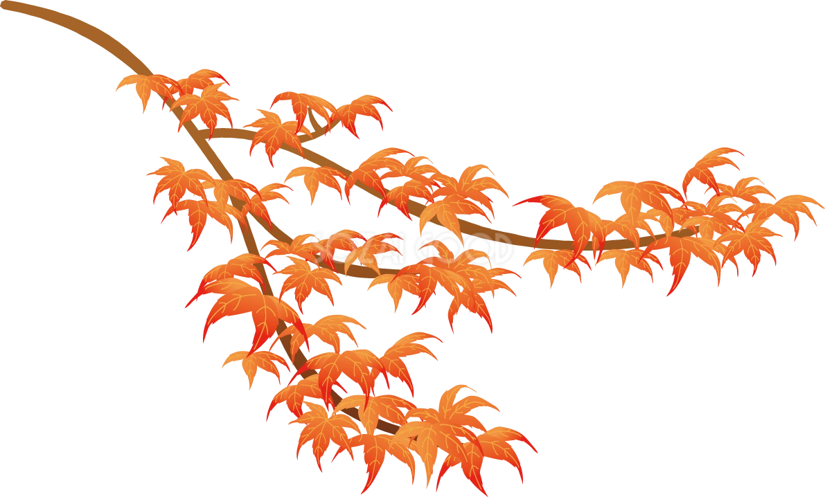紅葉(もみじ) 秋 枝 イラスト無料 フリー89995