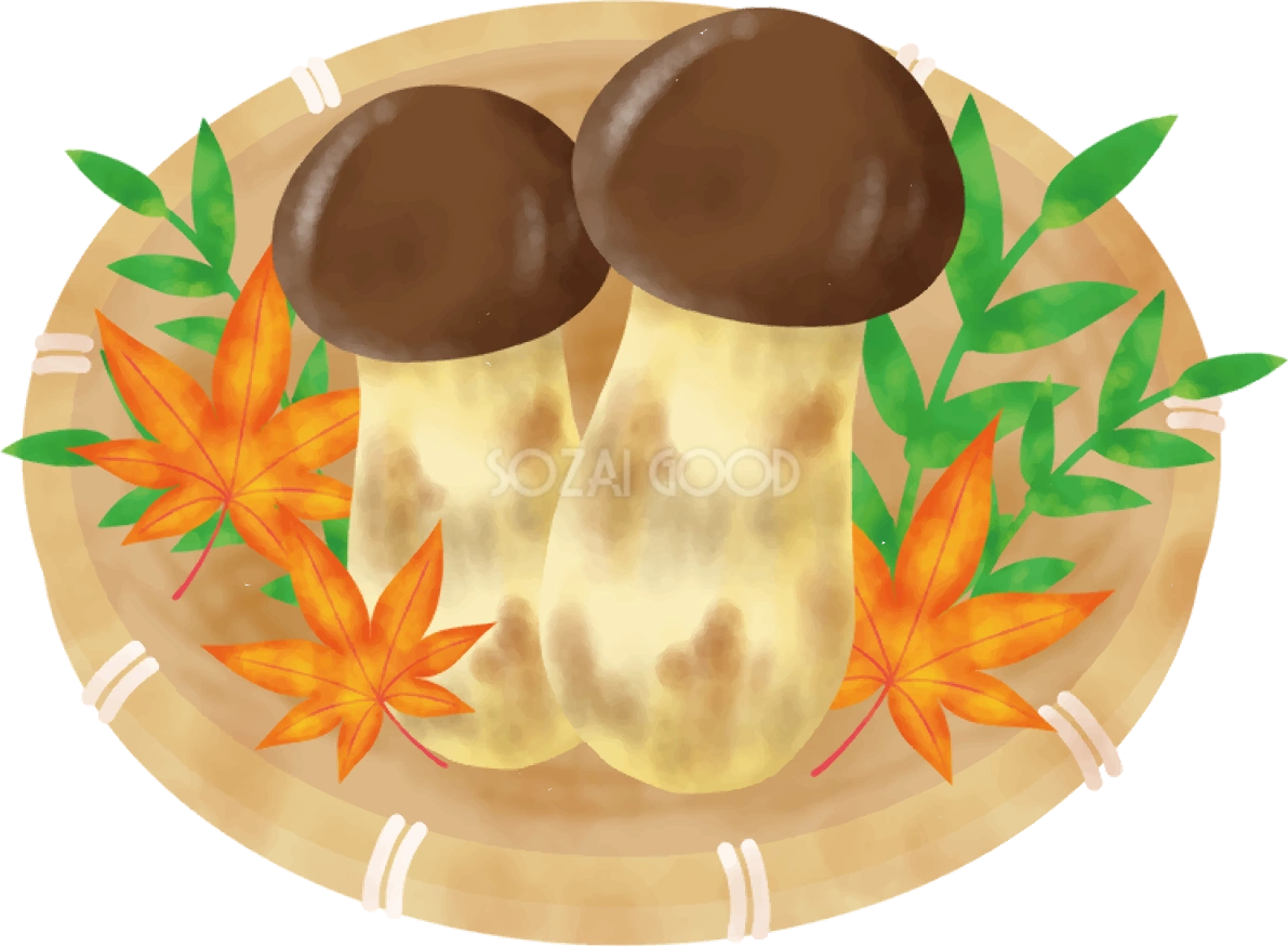きのこ 秋 松茸 紅葉(もみじ) イラスト無料 フリー90014