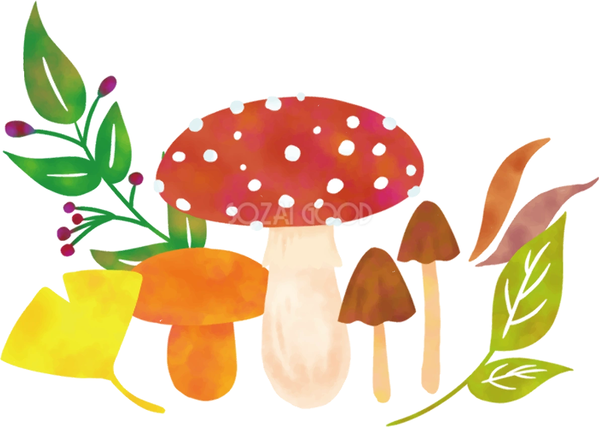 きのこ 秋 イチョウ イラスト無料 フリー90015
