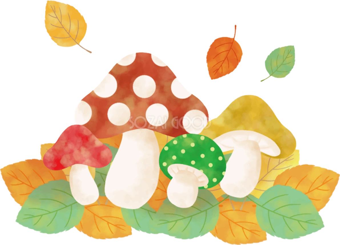 きのこ 秋 落ち葉 イラスト無料 フリー90016