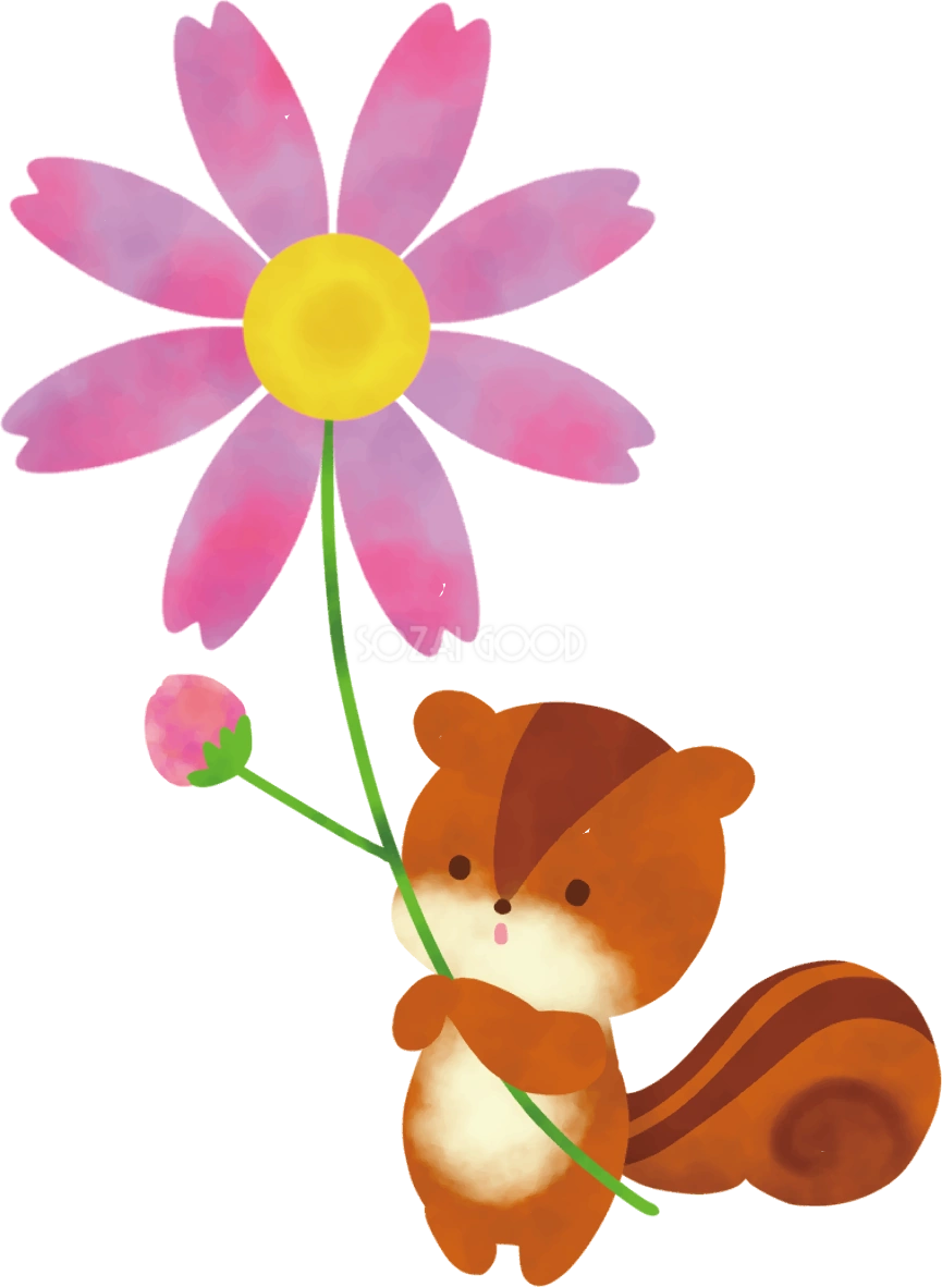 コスモス 秋 リス イラスト無料 フリー90022