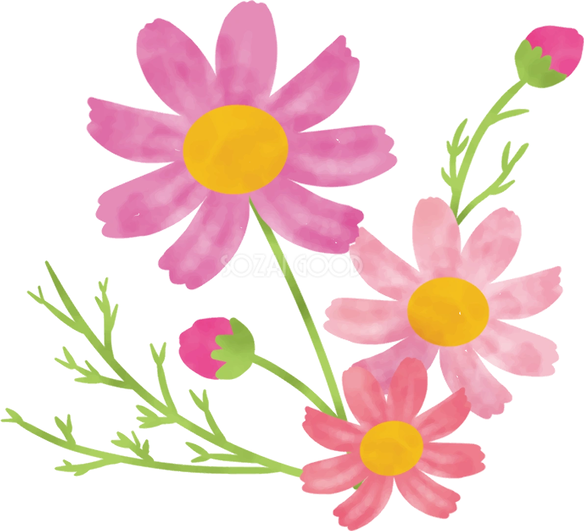 コスモス 秋 飾り コーナー イラスト無料 フリー90025