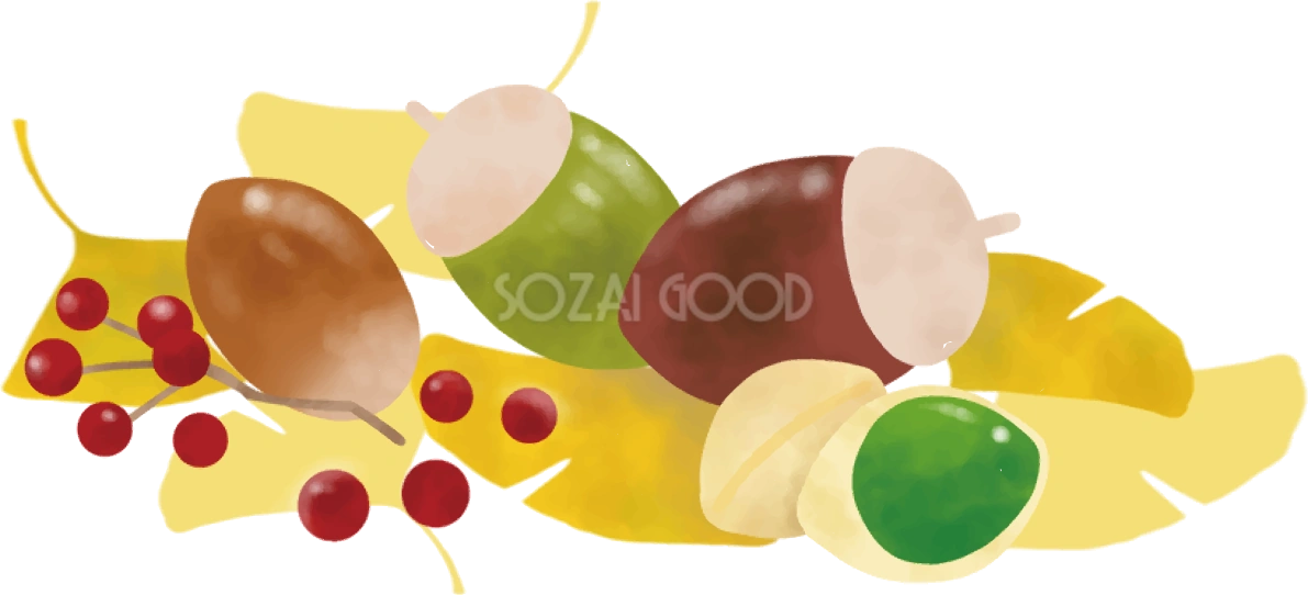 どんぐり 秋 イチョウ 落ち葉 イラスト無料 フリー90028
