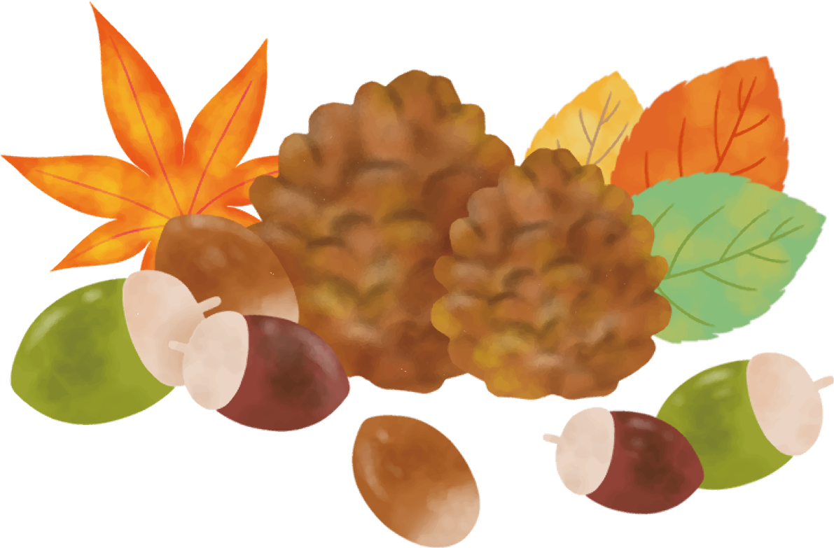 どんぐり 秋 紅葉(もみじ) まつぼっくり イラスト無料 フリー90031に写真・文字を入れる